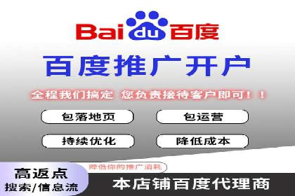 某企业通过百度SEM实现ROI最大化的案例